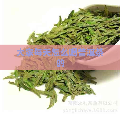 大家每天怎么喝普洱茶的