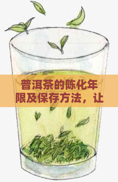 普洱茶的陈化年限及保存方法，让您的茶叶保持品质