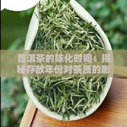 普洱茶的陈化时间：揭秘存放年份对茶质的影响