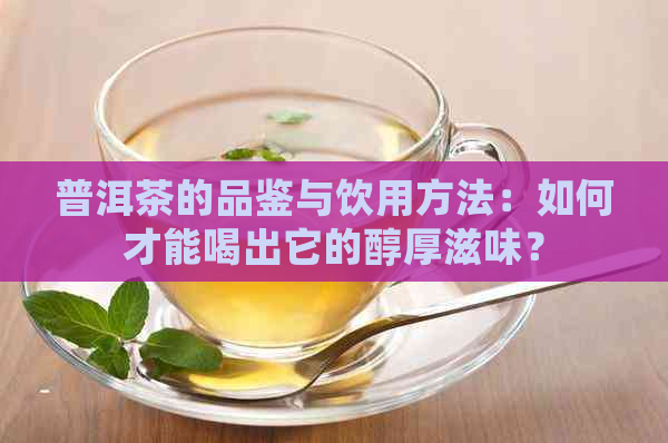 普洱茶的品鉴与饮用方法：如何才能喝出它的醇厚滋味？