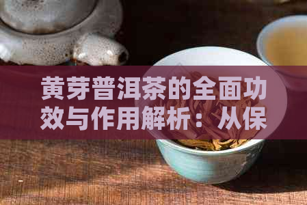 黄芽普洱茶的全面功效与作用解析：从保健到治疗，你想知道的都在这里！