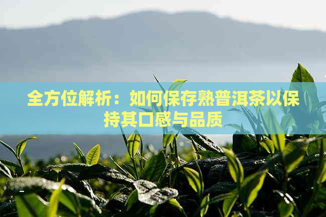 全方位解析：如何保存熟普洱茶以保持其口感与品质