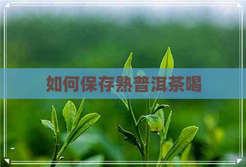 如何保存熟普洱茶喝