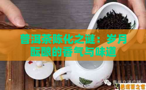 普洱茶陈化之谜：岁月酝酿的香气与味道