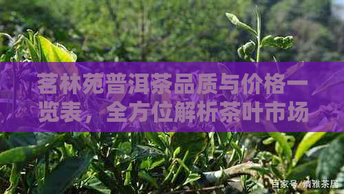 茗林苑普洱茶品质与价格一览表，全方位解析茶叶市场