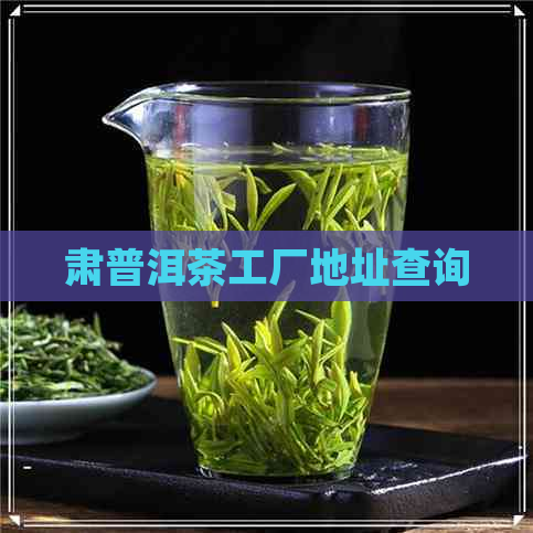 肃普洱茶工厂地址查询