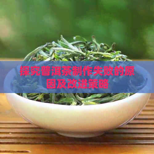 探究普洱茶制作失败的原因及改进策略