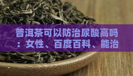 普洱茶可以防治尿酸高吗：女性、百度百科、能治尿酸高吗。