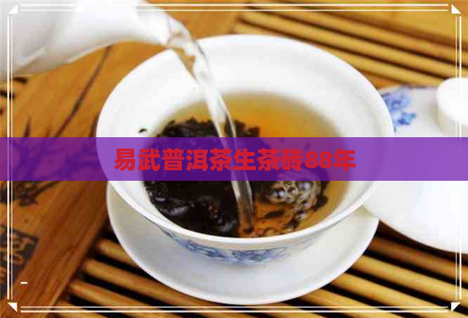 易武普洱茶生茶砖88年