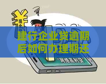 建行企业贷逾期后如何办理期还款？详细操作步骤与注意事项一览