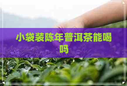 小袋装陈年普洱茶能喝吗