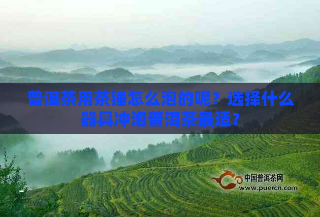 普洱茶用茶锤怎么泡的呢？选择什么器具冲泡普洱茶最适？