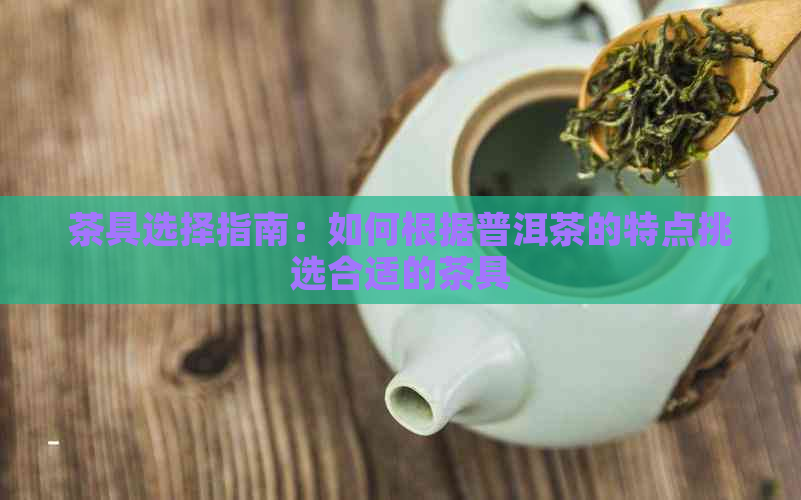 茶具选择指南：如何根据普洱茶的特点挑选合适的茶具