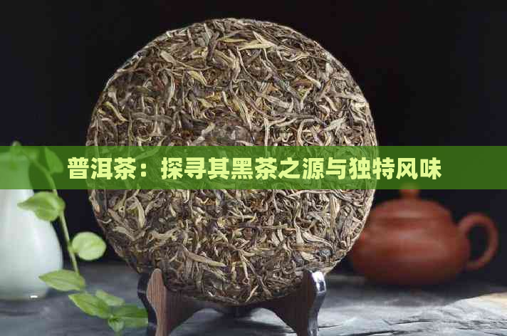 普洱茶：探寻其黑茶之源与独特风味