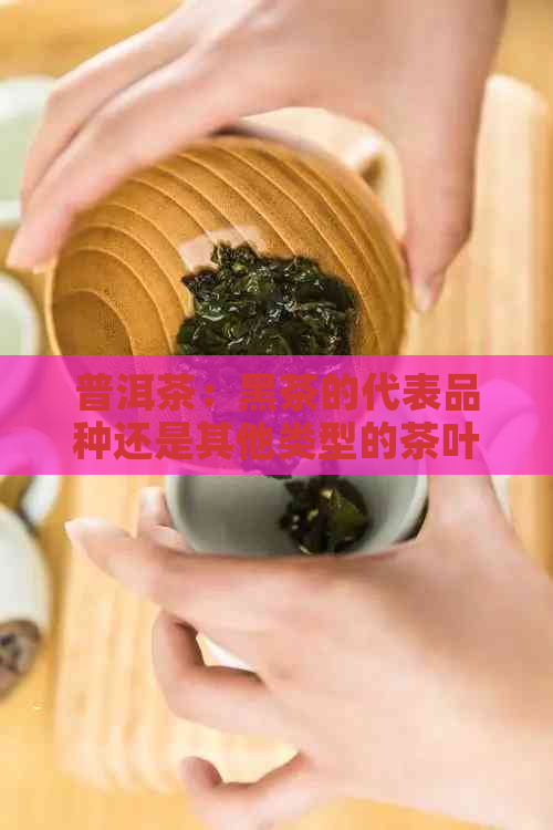 普洱茶：黑茶的代表品种还是其他类型的茶叶？探讨普洱茶的分类和特点