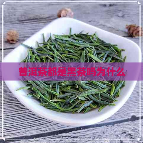 普洱茶都是黑茶吗为什么