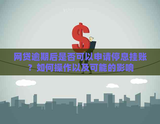 网贷逾期后是否可以申请停息挂账？如何操作以及可能的影响