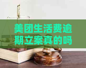 美团生活费逾期立案真的吗？逾期多久会被起诉？有什么后果？