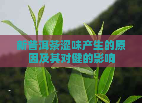 新普洱茶涩味产生的原因及其对健的影响