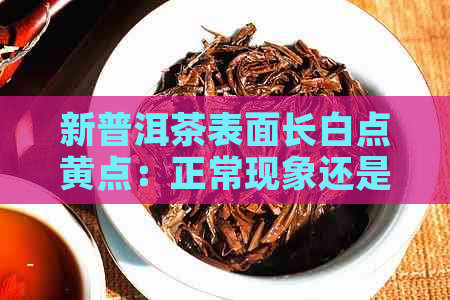 新普洱茶表面长白点黄点：正常现象还是品质问题？