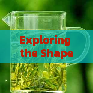 Exploring the Shape and Quality Traits of Pu'er Tea: An Overview