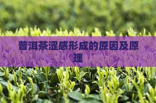 普洱茶涩感形成的原因及原理