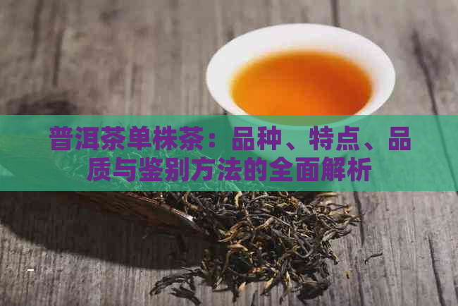 普洱茶单株茶：品种、特点、品质与鉴别方法的全面解析