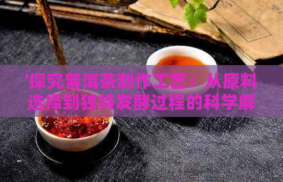 '探究普洱茶制作工艺：从原料选择到独特发酵过程的科学解析'