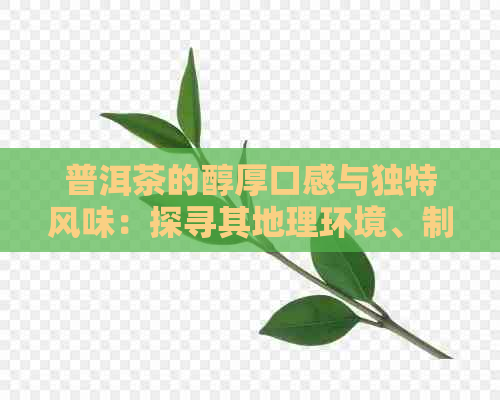 普洱茶的醇厚口感与独特风味：探寻其地理环境、制作工艺及健益处