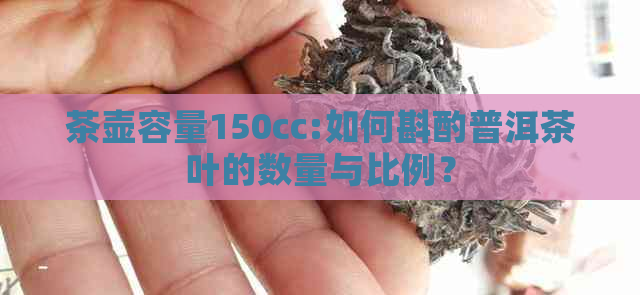 茶壶容量150cc:如何斟酌普洱茶叶的数量与比例？