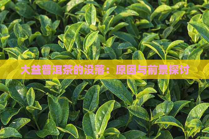 大益普洱茶的没落：原因与前景探讨