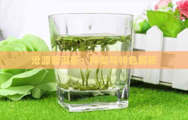 沧源普洱茶：种类与特色解析