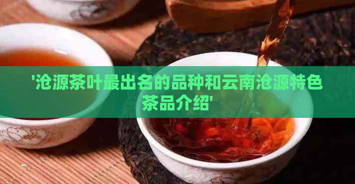 '沧源茶叶最出名的品种和云南沧源特色茶品介绍'