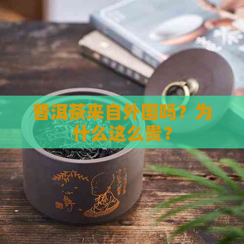 普洱茶来自外国吗？为什么这么贵？