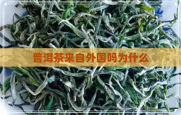 普洱茶来自外国吗为什么