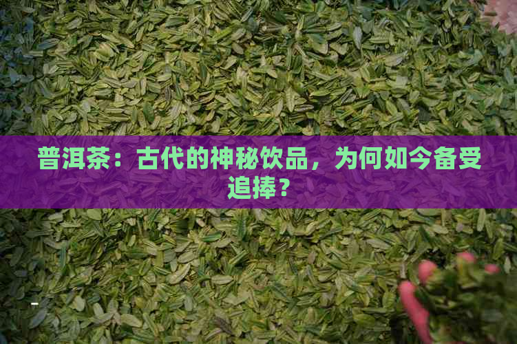 普洱茶：古代的神秘饮品，为何如今备受追捧？