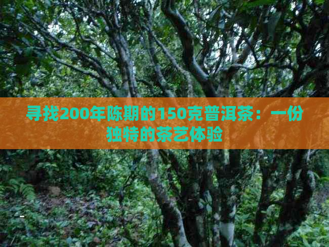 寻找200年陈期的150克普洱茶：一份独特的茶艺体验