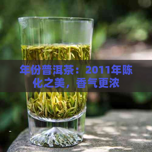 年份普洱茶：2011年陈化之美，香气更浓