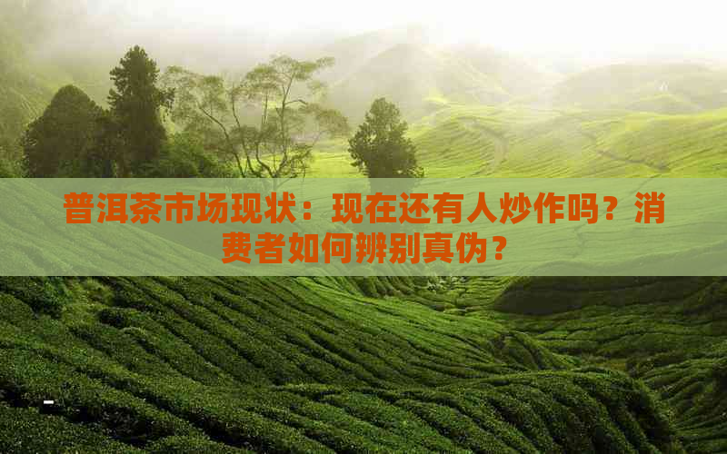 普洱茶市场现状：现在还有人炒作吗？消费者如何辨别真伪？