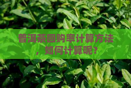 普洱茶回购率计算方法，如何计算呢？