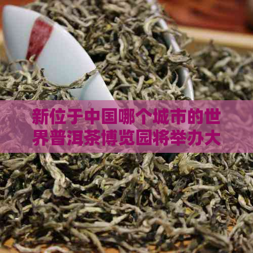 新位于中国哪个城市的世界普洱茶博览园将举办大的展览活动？