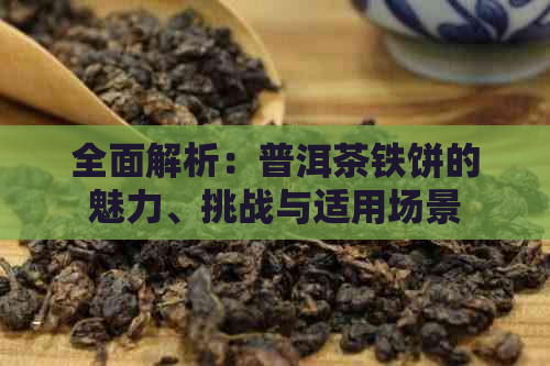 全面解析：普洱茶铁饼的魅力、挑战与适用场景