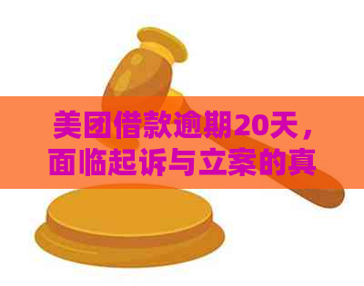 美团借款逾期20天，面临起诉与立案的真正：一万块钱真的要不回来了吗？