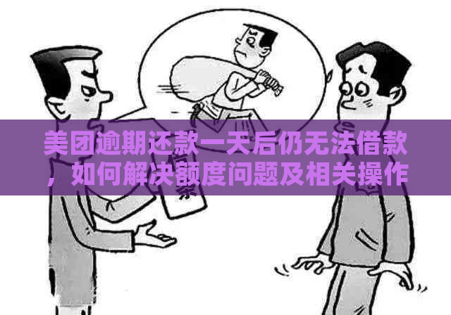 美团逾期还款一天后仍无法借款，如何解决额度问题及相关操作步骤