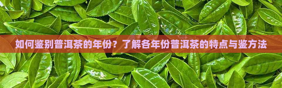 如何鉴别普洱茶的年份？了解各年份普洱茶的特点与鉴方法