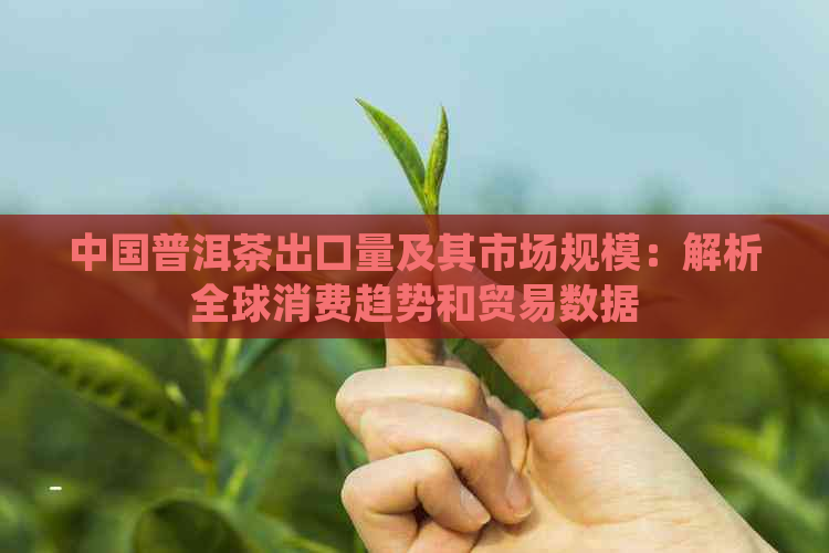 中国普洱茶出口量及其市场规模：解析全球消费趋势和贸易数据