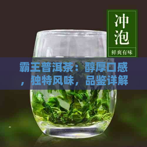 霸王普洱茶：醇厚口感，独特风味，品鉴详解