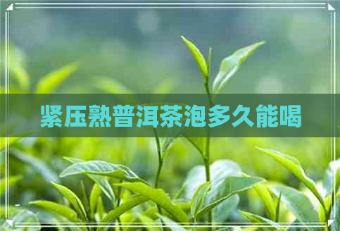 紧压熟普洱茶泡多久能喝