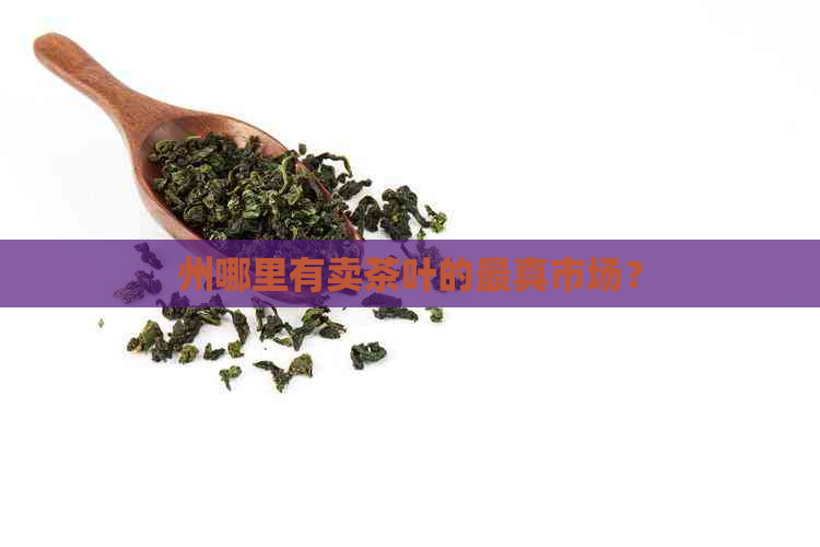 州哪里有卖茶叶的最真市场？