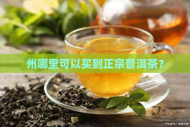 州哪里可以买到正宗普洱茶？